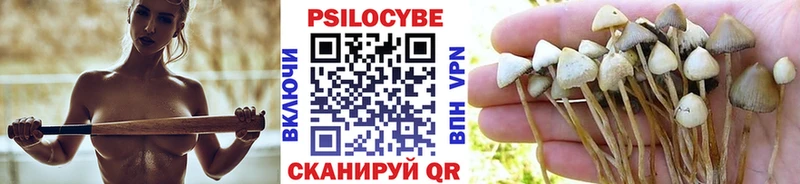 Псилоцибиновые грибы Psilocybe  blacksprut рабочий сайт  Нязепетровск 